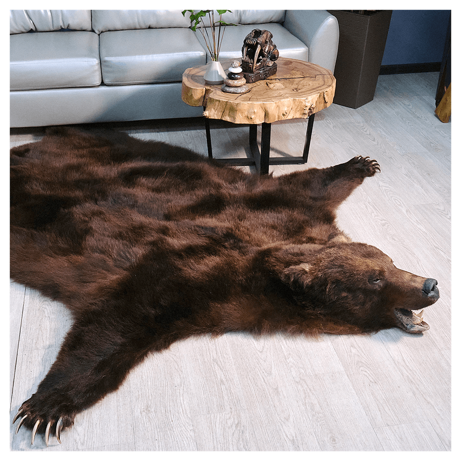 Шкура медведя «Бурый зверь»