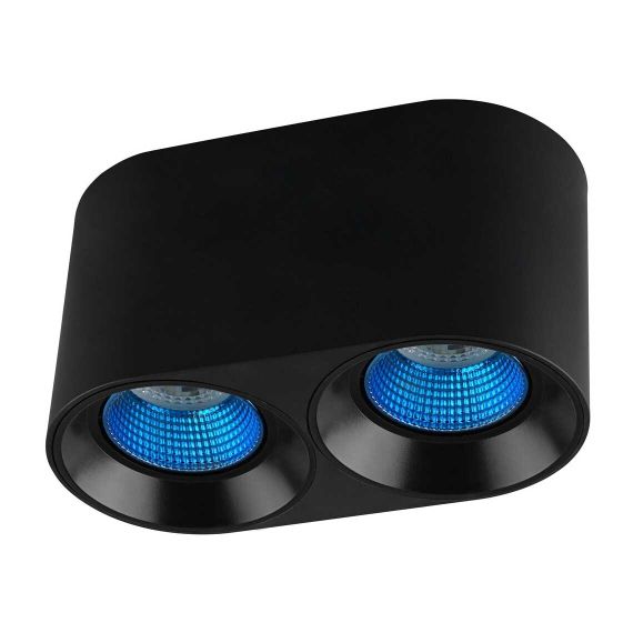 Потолочный светильник Denkirs DK3020BСY DK3096-BK+CY