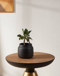 Кашпо Eglo Parkent 428144