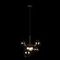 Подвесной светильник Loft IT Bolle 2029-P6 mini