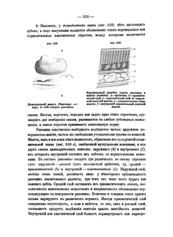 Краткий курс палеонтологии. Палеозоология | Лагузен Иосиф Иванович