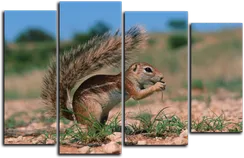 Модульная картина "Смелый бурундук"