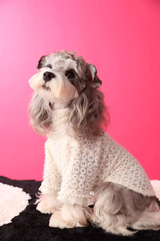 Кофта для собак Жемчуг