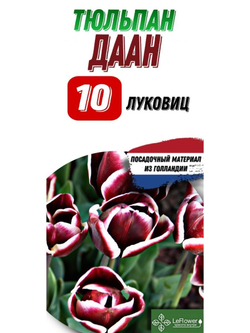 Тюльпан Луковица, Даан, 10шт