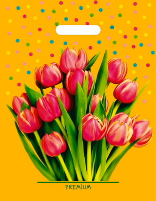 Пакет ВУР 31*40см /60 мкм Солнечный букет /1 шт