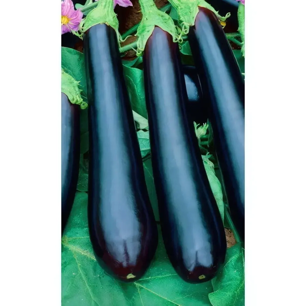 Семена Баклажан Пантера (УД) 20шт Е/П