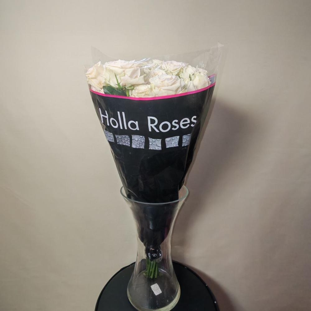 Роза кустовая светло-кремовая "Sushi" (10 шт/уп.)