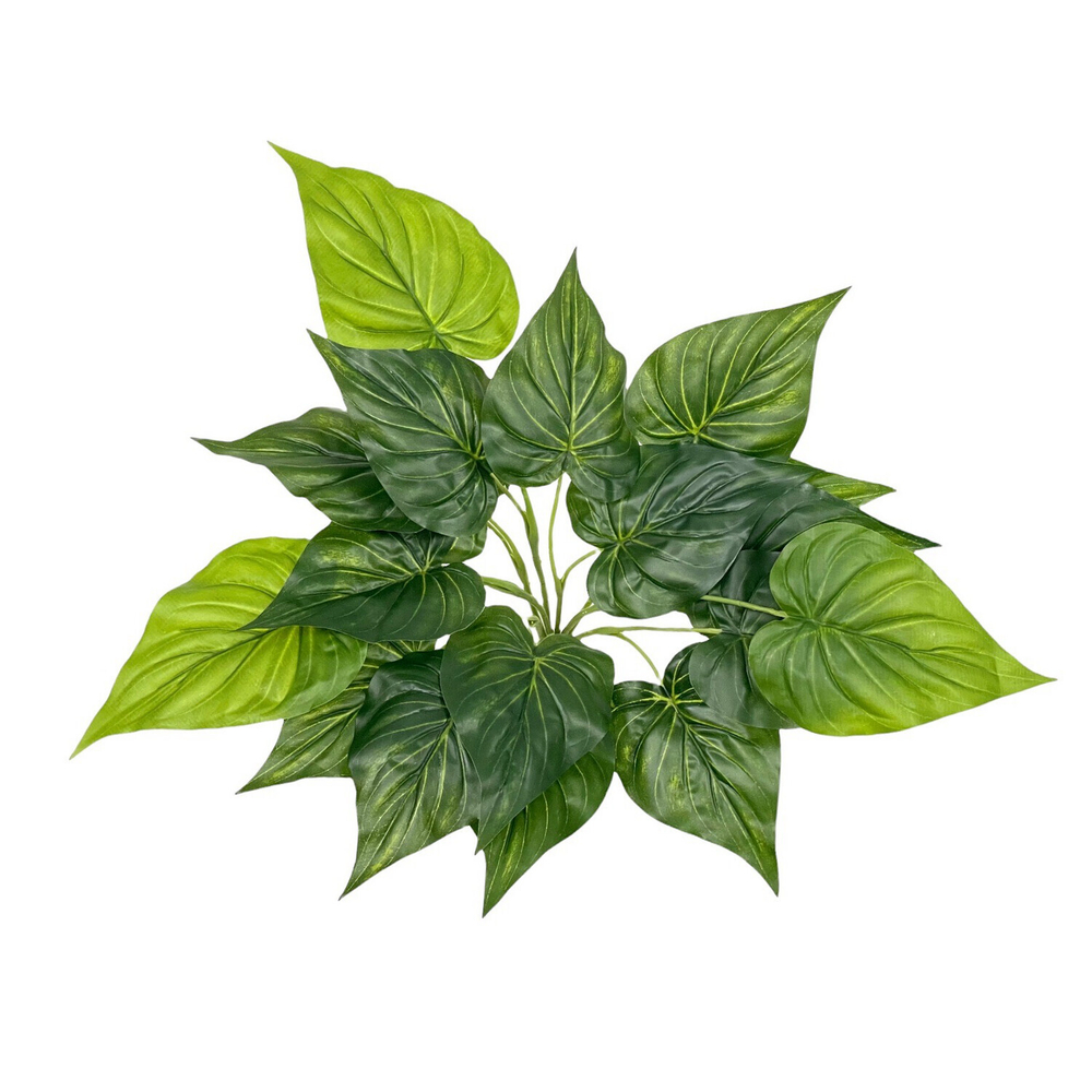 Филодендрон куст 45 см