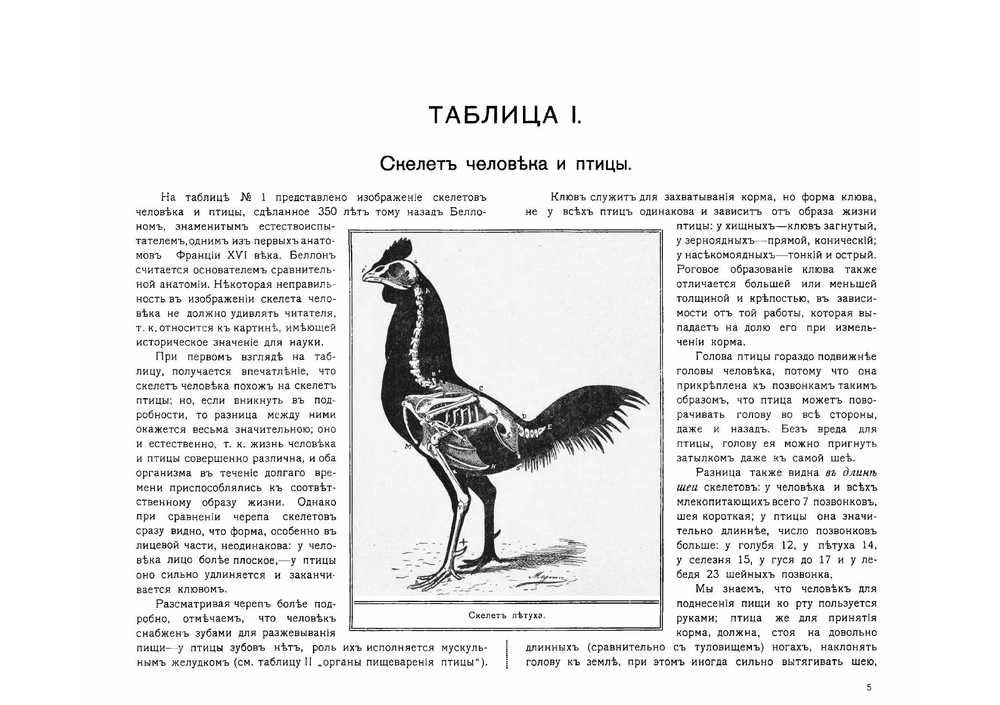 Атлас по птицеводству | Орлова Ольга Михайловна