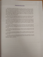 Sueña 4. Cuaderno de Ejercicios C1 (Spanish Edition)