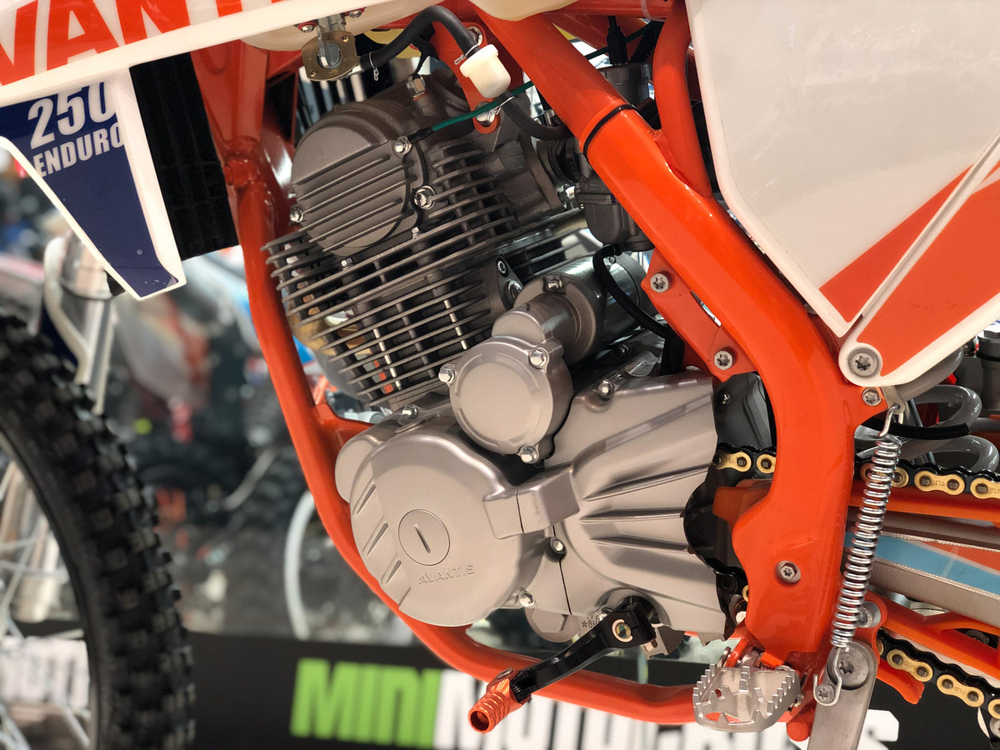 Мотоцикл Avantis Enduro 250 21/18 (ZS172FMM, возд.охл.) 2020 (Белый (K)