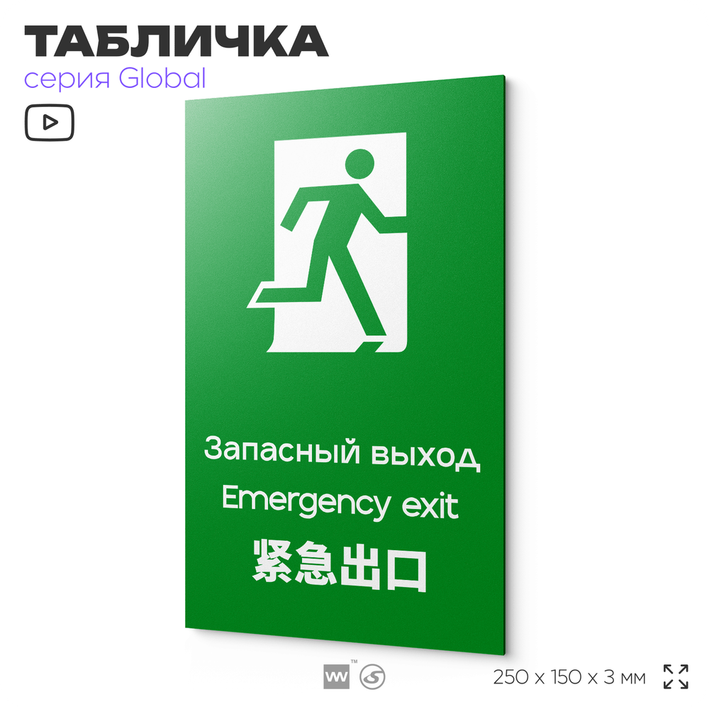 Табличка Запасный выход, на дверь и стену, информационная и мультиязычная (русский, английский, китайский), серия GLOBAL, 25х15 см, Айдентика Технолоджи