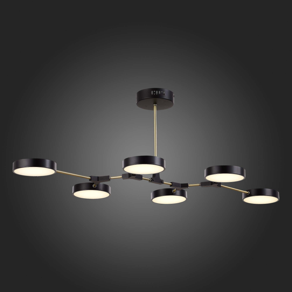 Светильник потолочный Evoluce Monta SLE6004-402-06