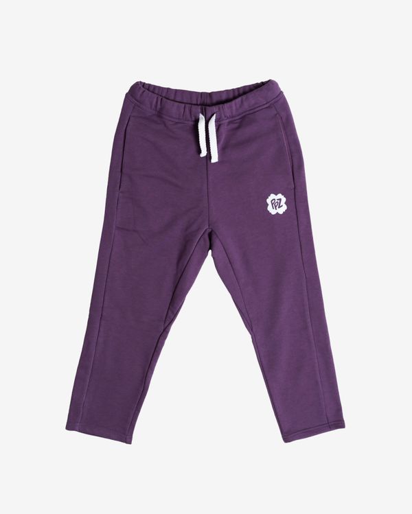 Брюки укороченные PPZ Фиолетовые - фото 1