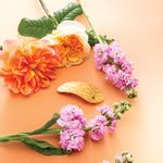 Balmain Hair Couture Заколка Лист Limited Edition Printemps Leaf Barrette Pour Cheveux