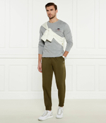 Спортивные штаны Gant - зеленый(2009026)