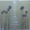 Cerrone – Cerrone IV / Cerrone VII / Give Me Remixes - Box 4LP + 3CD