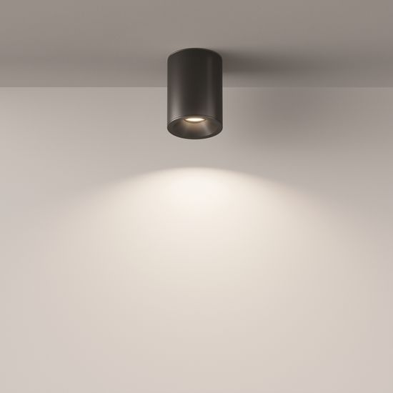 Потолочный светильник Technical C029CL-01B