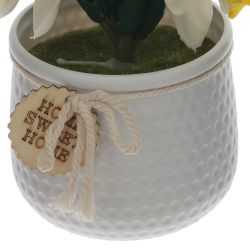 GAEM Цветочная композиция "Нарцисс", L15 W15 H23 см