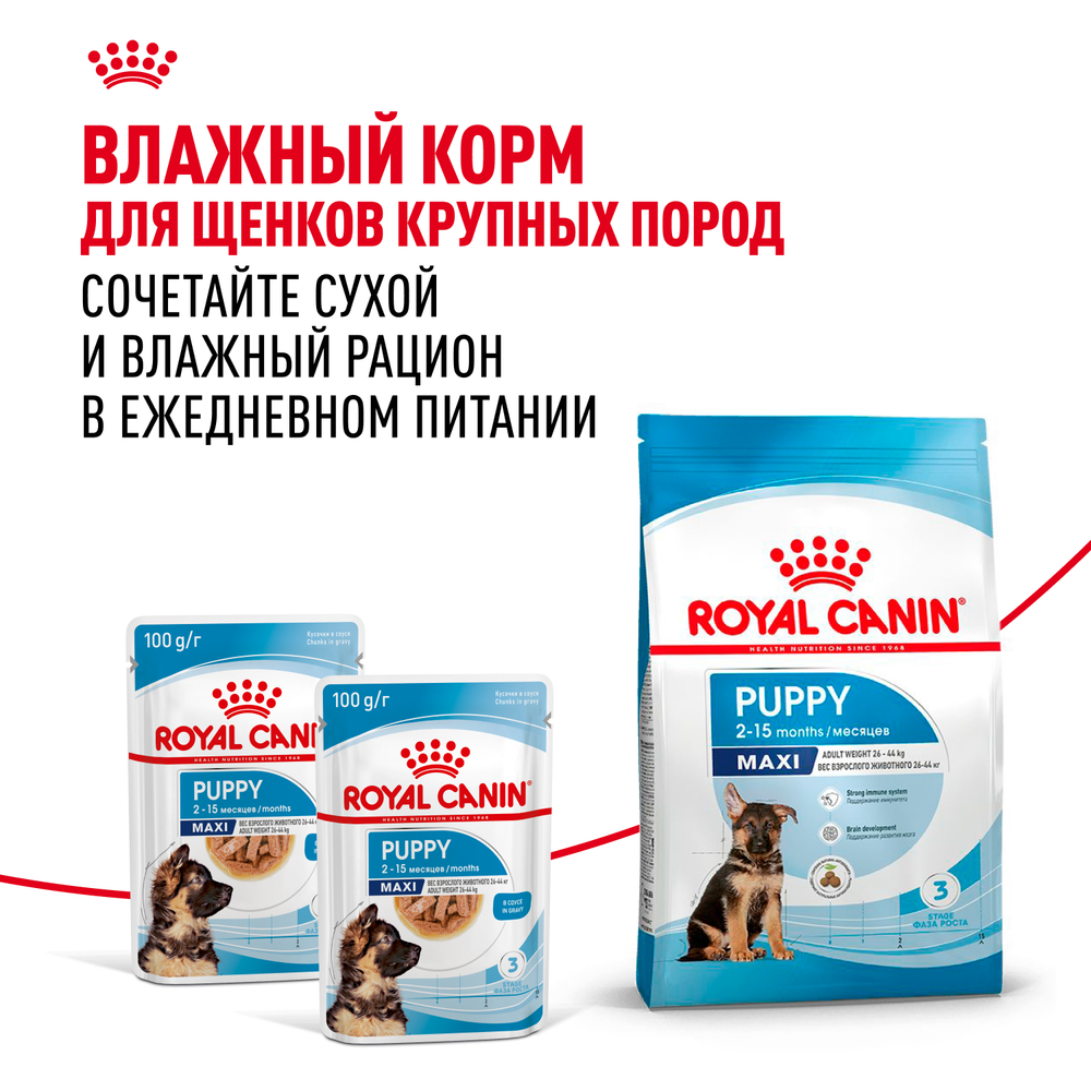 Royal Canin Maxi Puppy Макси Паппи Корм сухой для щенков крупных размеров в возрасте до 15 месяцев 15кг