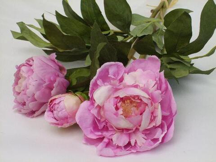 Букет из трех розовых пионов