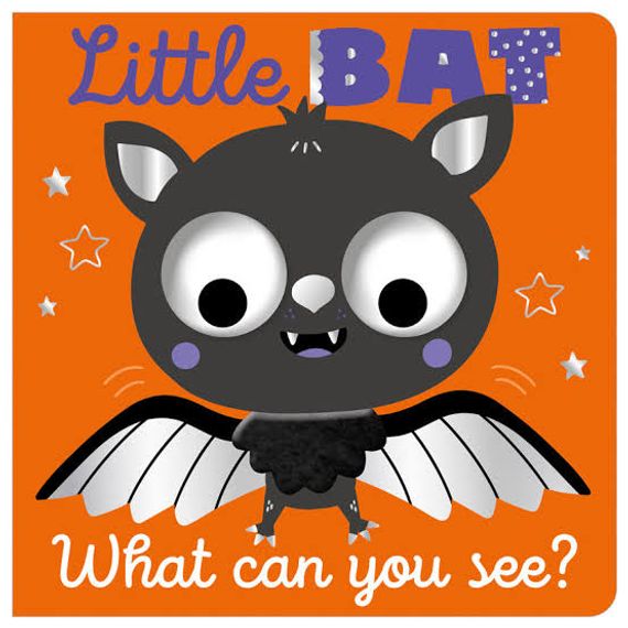 Little Bat What Can You See?