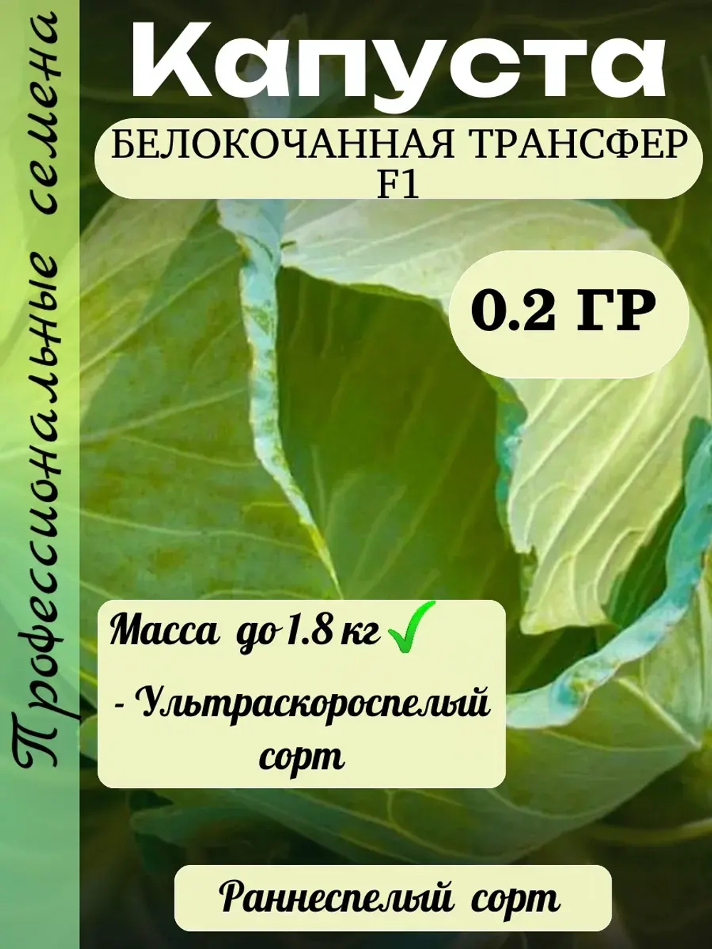 Семена капуста белокочанная Трансфер F1 0.2 гр