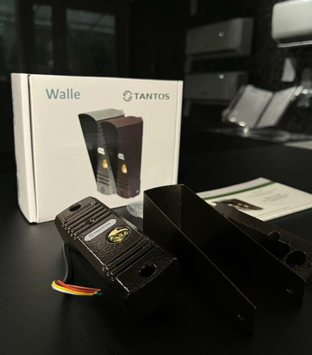 Вызывная панель Tantos  WALLE  медь