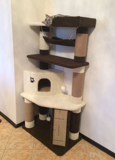 Дом для кошки И-87