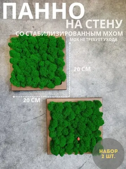 Квадратное панно на стену 20*20 из мха набор 2 шт.