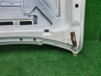 Капот Ford F-150 8 (2014-2020)