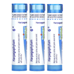 Boiron, Гранулы из гарпагофитума (Harpagophytum Meltaway), 3 тюбика, 80 гранул в каждом