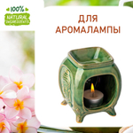 Франжипани и кокос, отдушка для свечей и мыла
