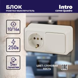 Блок розетка с выключателем Intro Quadro 2-701-02 горизонтальный 10А-250В, IP20, ОУ, слоновая кость