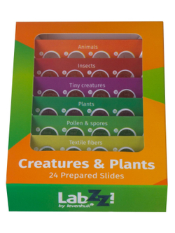 Набор микропрепаратов Levenhuk LabZZ CP24, существа и растения