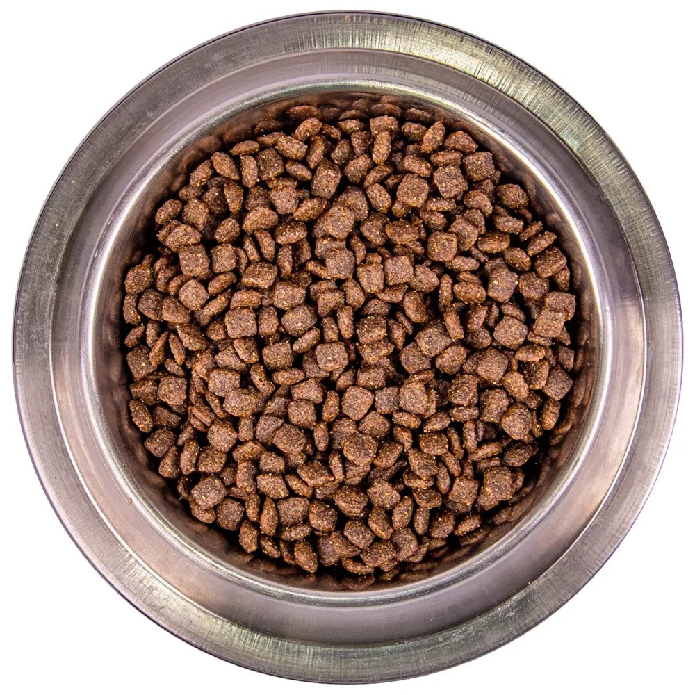 Сухой корм Monge Dog Speciality Line Monoprotein Mini для взрослых собак мелких пород, из лосося с рисом