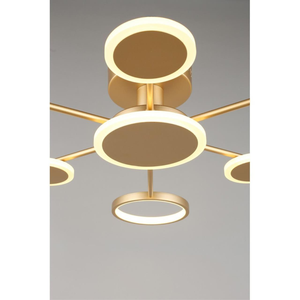 Потолочная светодиодная люстра Aployt Didian APL.015.07.33