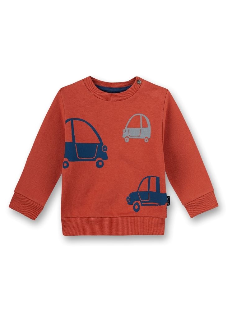 Толстовка Sanetta KIDSWEAR 115220 22054