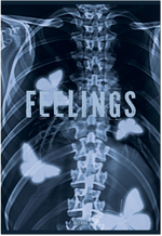 Тетрадь общая А4 96л. РЕНТГЕН, обложка - мелов.картон+софттач лак, скрепка