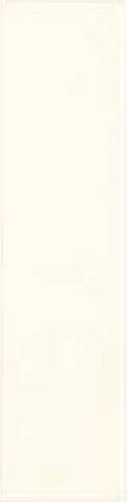 Adex Neri Liso PB Biscuit 7.5x30