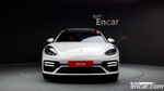 Porsche Panamera (971) 2.9 AWD Platinum Editions (08.2023)