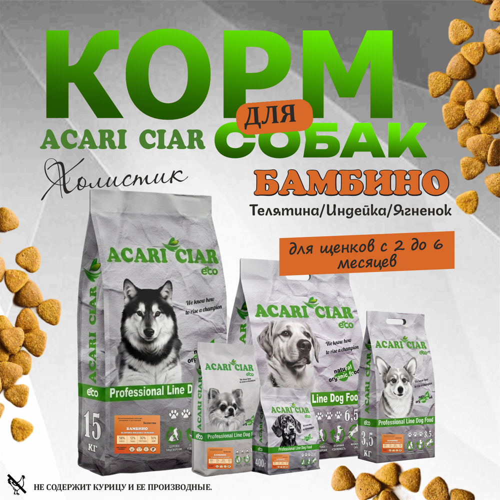 Акари Киар Паппи / Acari Ciar Бамбино