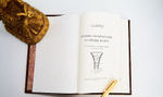 Подарочная книга "Пулевое охотничье ружье и стрельба из него". С.А.Бутурлин