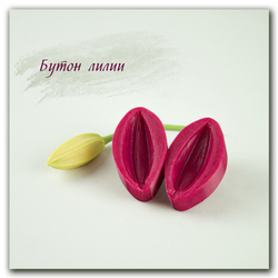 Комплект для лепки махровых лилий