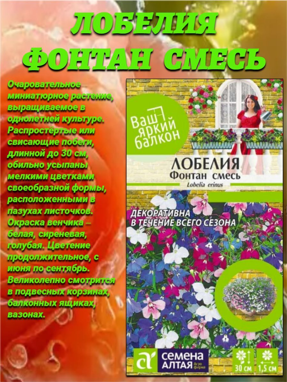 Великолепная смесь окрасок: виола, алиссум, лобелия, бархатцы, петуния