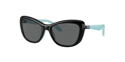 Солнцезащитные очки Emporio Armani - черный(EK4004)