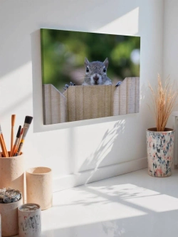 Картина на стену 40 X 50 Белка