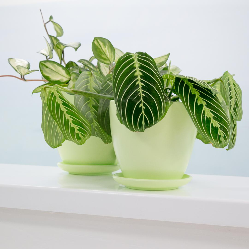 Керамический горшок "Бутон" с подставкой, 1,4л., Д135 Ш135 В130, нежно-салатовый