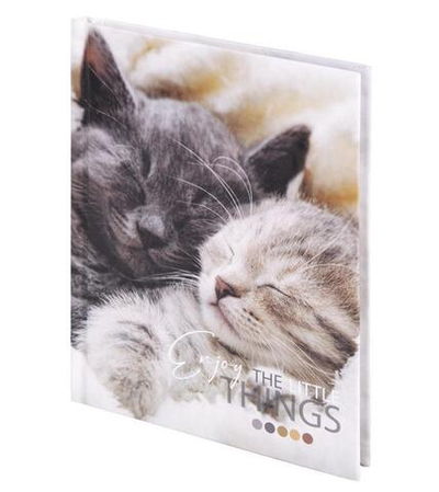 Блокнот А6 80л,клетка,твердый переплет"Котики"(STAFF)