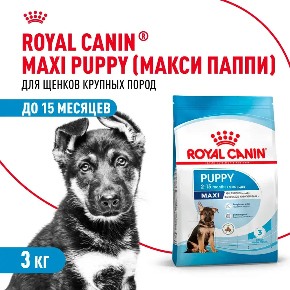 Royal canin maxi puppy сухой корм для щенков крупных пород до 15 месяцев - 3 кг
